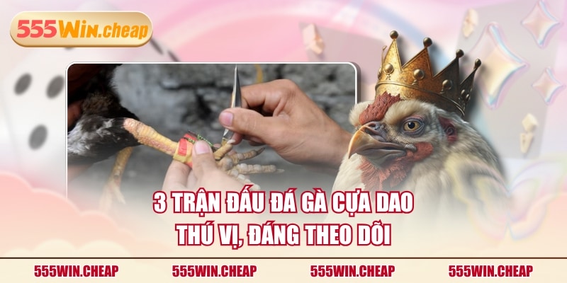 3 trận đấu đá gà cựa dao thú vị, đáng theo dõi