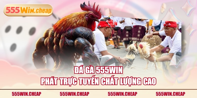 Đá Gà 555WIN phát trực tuyến chất lượng cao