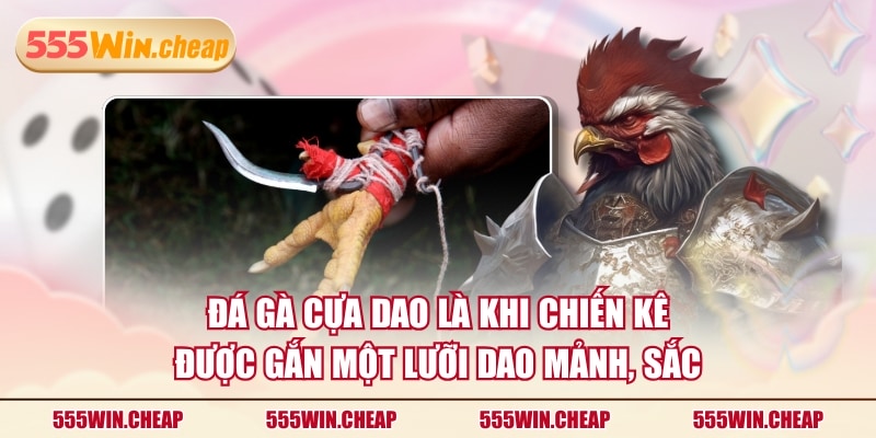 Đá gà cựa dao là khi chiến kê được gắn một lưỡi dao mảnh, sắc