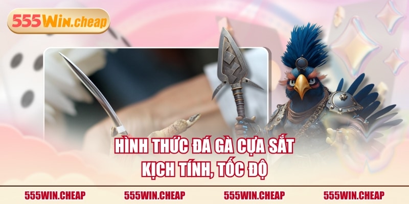 Hình thức đá gà cựa sắt kịch tính, tốc độ
