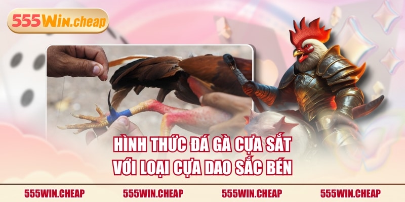 Hình thức đá gà cựa sắt với loại cựa dao sắc bén