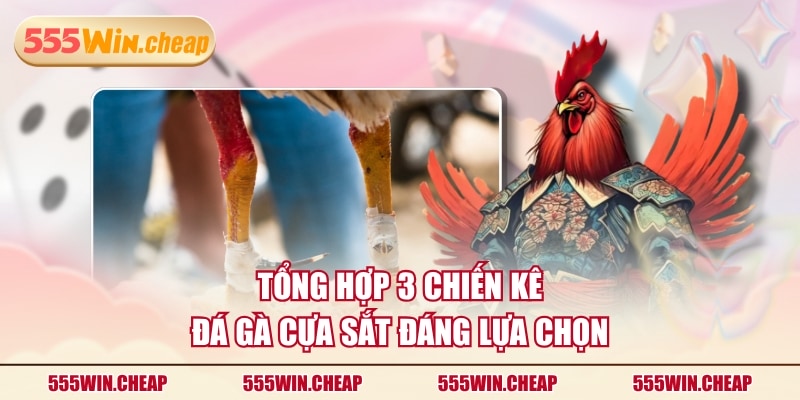 Tổng hợp 3 chiến kê đá gà cựa sắt đáng lựa chọn