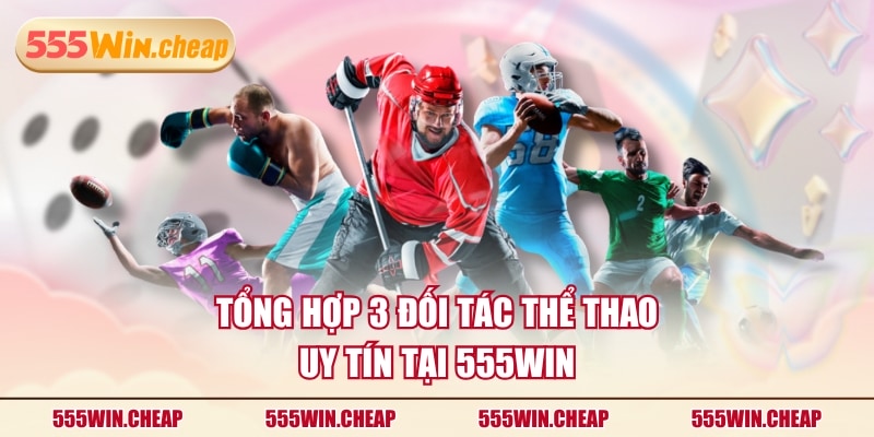 Tổng hợp 3 đối tác thể thao uy tín tại 555WIN